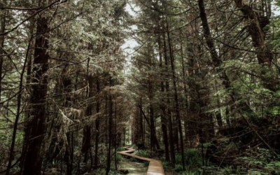 4 Benefits of Massage Therapy in the Fall