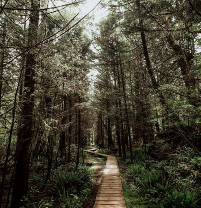 4 Benefits of Massage Therapy in the Fall