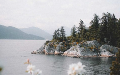 What is massage therapy?