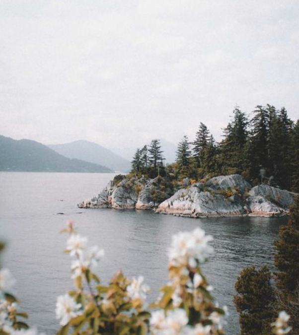 What is massage therapy?